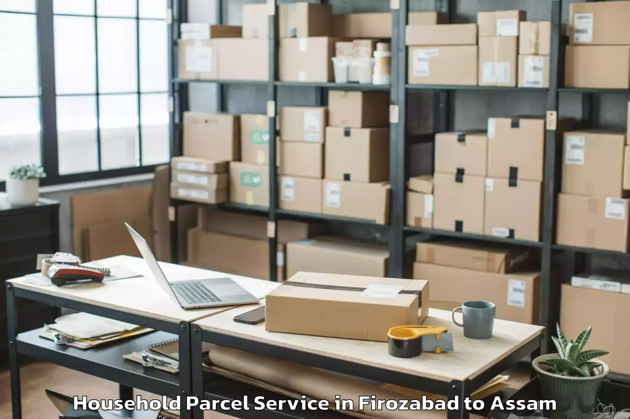 Book Firozabad to Nahorkatiya Household Parcel